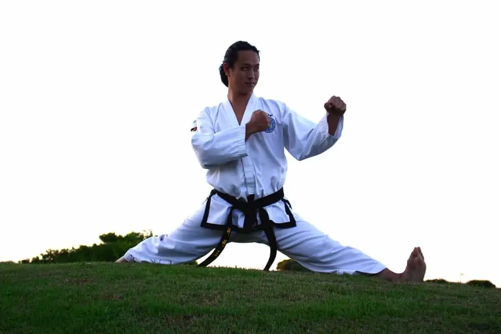 Karate vs taekwondo belts